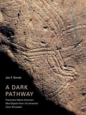 cover image of A Dark Pathway